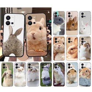 Красивый Чехол для телефона Bunny Rabbits для VIVO Y53S Y33S Y22S Y11S Y31 Y21 Y70 Y20 Y21S Y72 Y35 Y51 Y01 V23E V21 V23 V21E Funda