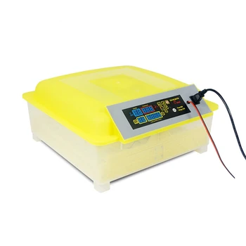 Полноавтоматический энергосберегающий мини-инкубатор для яиц YZ-48 с аккумулятором 12 В постоянного тока
